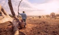 ‘Godzilla’ El Nino warning: Rare weather pattern could make 2027 hottest year ever
