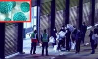 Hantavirus: Dutch hospital quarantines 12 staff members after protocol breach