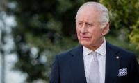 King Charles' royal carriage horses take spotlight ahead of State Opening of Parliament