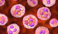 One dead, two critically ill after contracting meningitis; Know how it spreads