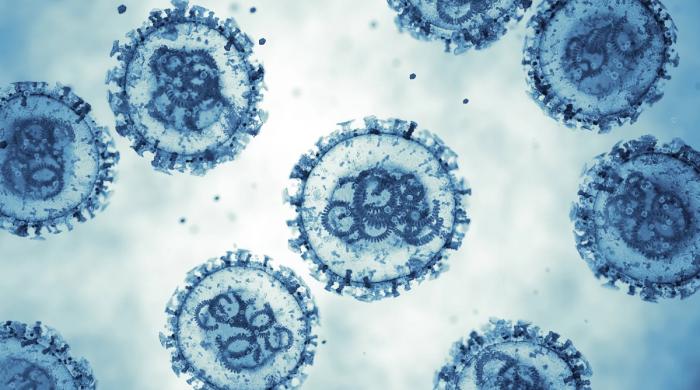 Australia quarantines six people amid hantavirus outbreak