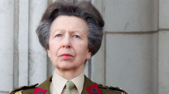King Charles' sister praised for supporting veterans during Aston Martin event