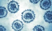 Australia quarantines six people amid hantavirus outbreak