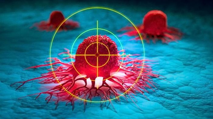 Vitamin B2 may help cancer cells survive, scientists reveals dark side