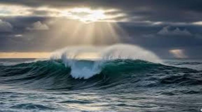 Tragedy in Western Australia: Man dies after shark bite off the coast of Perth