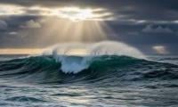Tragedy in Western Australia: Man dies after shark bite off the coast of Perth
