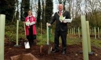 Belfast’s green push grows with 300,000 trees, new community orchards 
