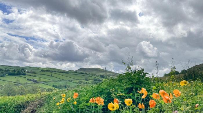 UK braces for a late spring heatwave: Here’s what you need to know