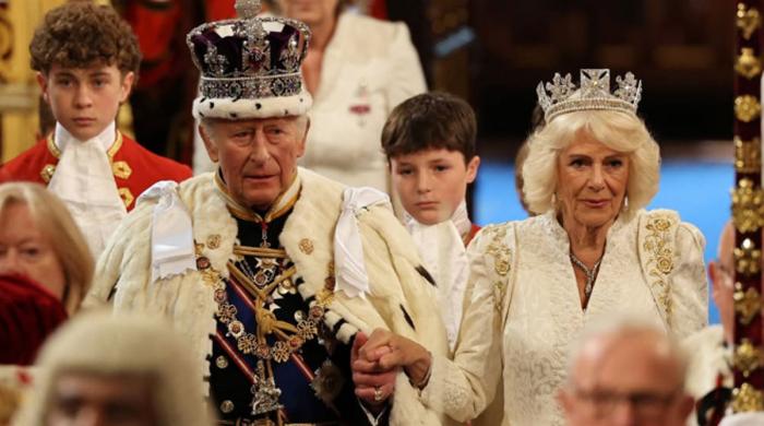 King Charles 'abdication plan' sparks reactions
