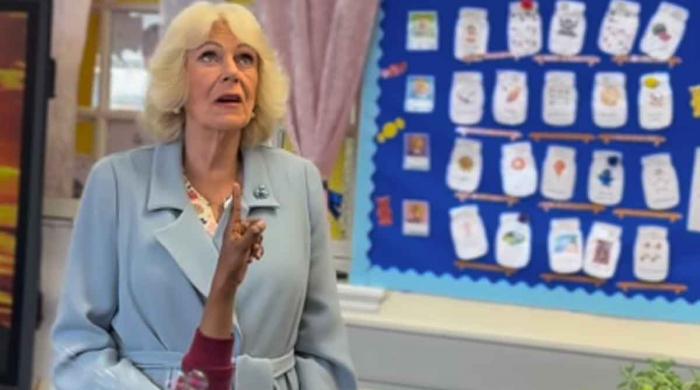 Queen Camilla makes solo visit to school after receiving 'bundle of letters' 