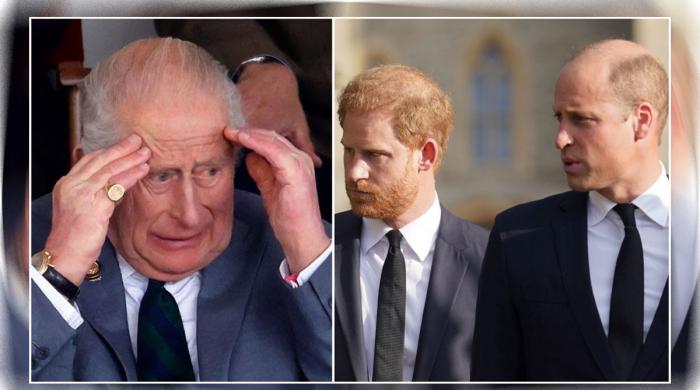 Prince William, Prince Harry force King Charles into an ‘obsession’