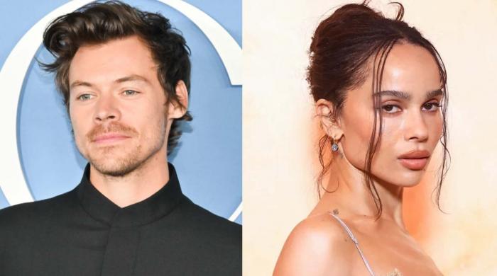 Harry Styles receives shocking warning over Zoe Kravitz romance