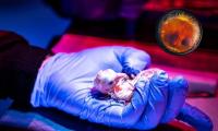 Scientists Hatch Live Chickens From 3D-printed Eggshells: Could Artificial Wombs Be Next?