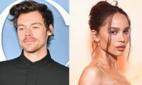 Harry Styles receives shocking warning over Zoe Kravitz romance