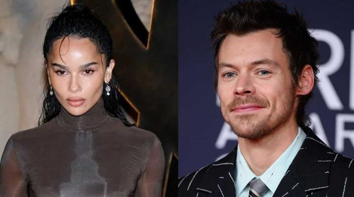 Zoe Kravitz, Harry Styles' intimate wedding plans finally revealed