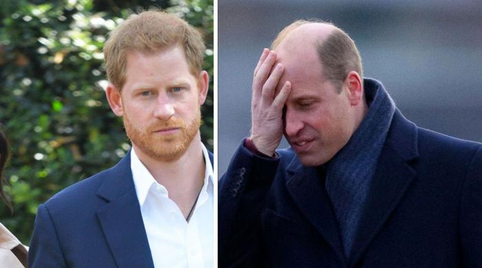 Harry ‘damages’ Prince William’s sentiments: ‘He’s irritated the heir’