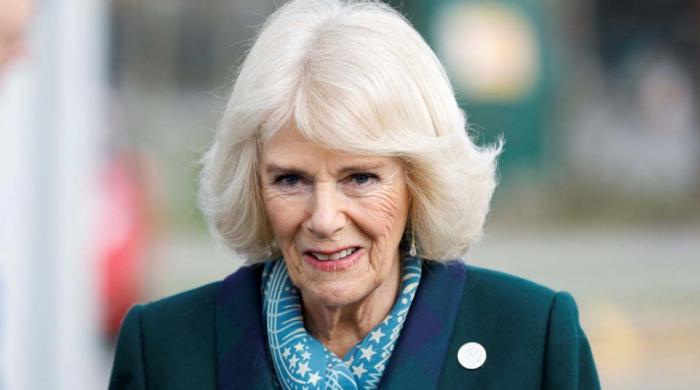 Queen Camilla confronts disturbing domestic abuse crisis
