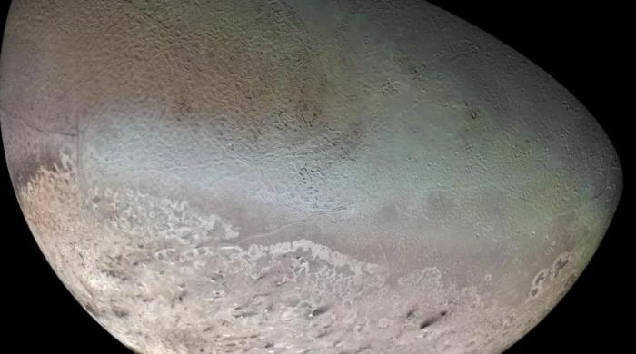 Why do scientists think Neptune’s moon Nereid survived violent cosmic collision?