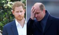 Harry ‘damages’ Prince William’s Sentiments: ‘He’s Irritated The Heir’