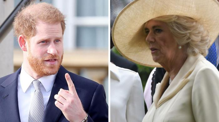 Prince Harry finally hands Queen Camilla biggest chance 'to make him pay’: ‘She won't to let it slip’