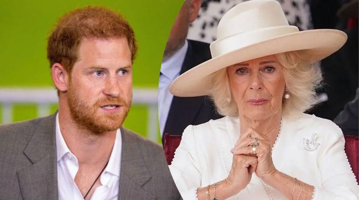 Prince Harry’s fears about Queen Camilla come to light: ‘She’s poisoning Charles’ head’