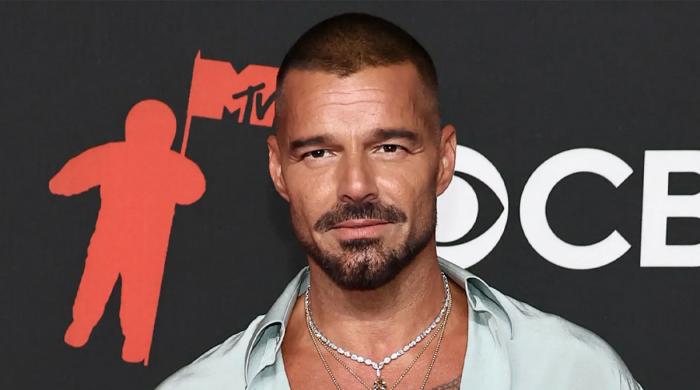 Ricky Martin's team breaks silence after concert interrupted over tear gas release