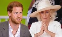 Prince Harry’s fears about Queen Camilla come to light: ‘She’s poisoning Charles’ head’