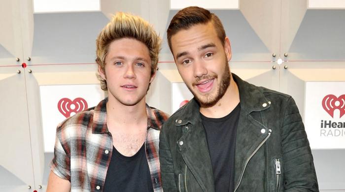 Niall Horan drops emotional song in memory of late One Direction bandmate Liam Payne