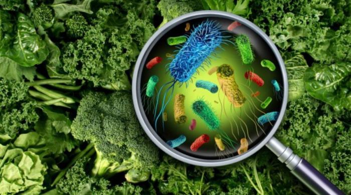 Scientists identify cancer-linked chemicals in everyday foods