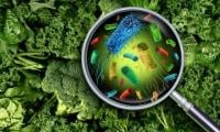 Scientists identify cancer-linked chemicals in everyday foods