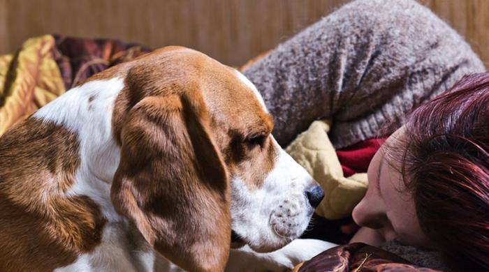 'Never in million years': Dog owner looks back at beloved pet nearly losing life  
