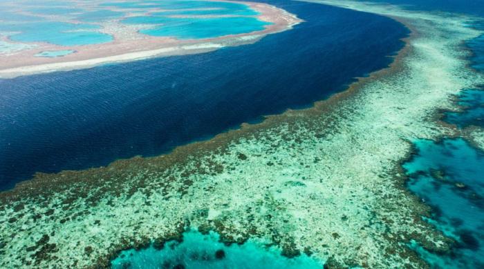 Australia: Man dies after shark attack in Queensland