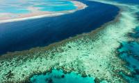 Australia: Man dies after shark attack in Queensland