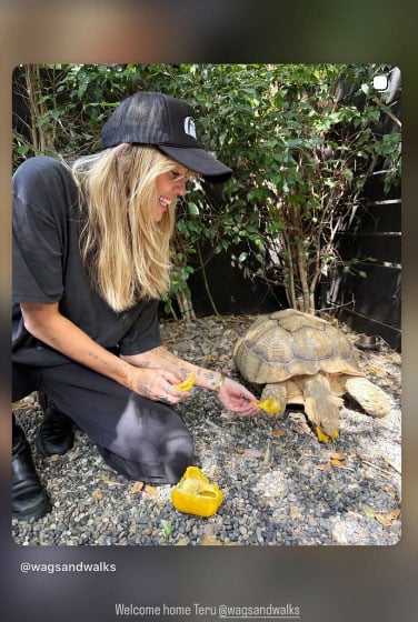 Miley Cyrus welcomes new addition to Cyrus family