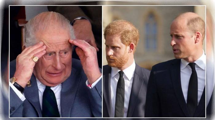Prince Harry handed biggest golden ticket to the King: ‘It can be done fairly under the radar’
