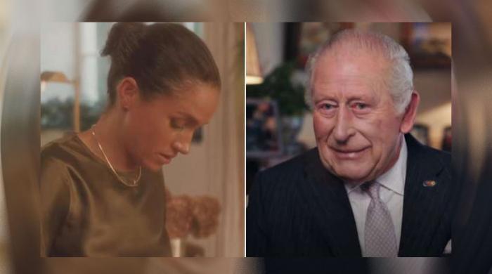 Meghan Markle’s money troubles resurface as new life forces her to ‘work her socks off’