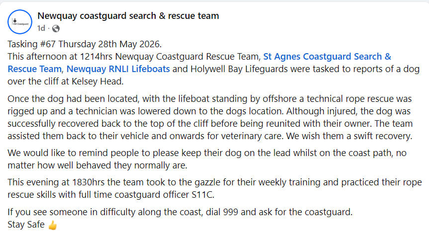 Dog plunges over cliff edge: What happened next?