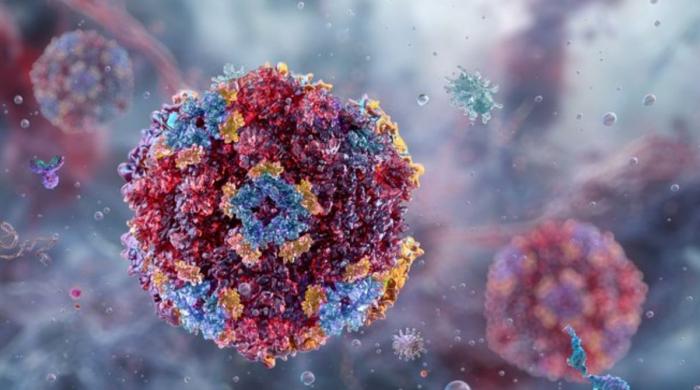Vomiting virus spreading across US: Key symptoms and precautions to take now 