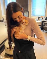 Demi Moore suffers heartbreaking loss as her beloved travel companion dies: Report