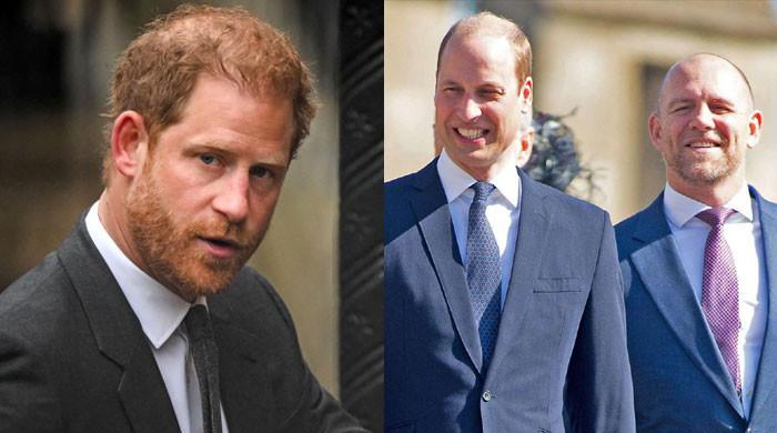 Mike Tindall knows ‘how to draw line’ unlike Prince Harry, says exprrt