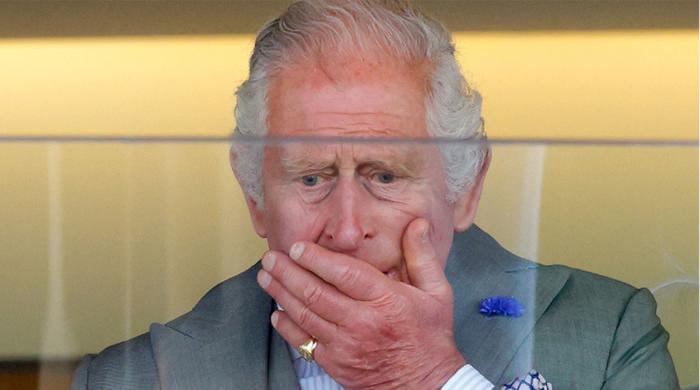 Buckingham Palace faces ‘real hot potato’: ‘If we ever abolished the monarchy’