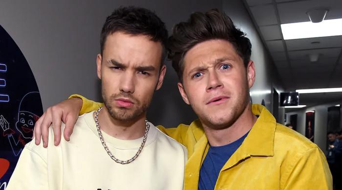 Niall Horan shares his last ‘happy’ memory with late Liam Payne