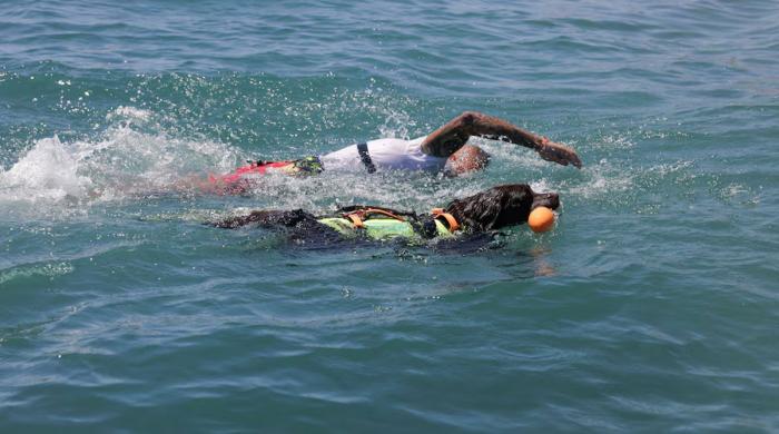 Dramatic rescue as hero dog battles rough waves for 30 minutes at sea 