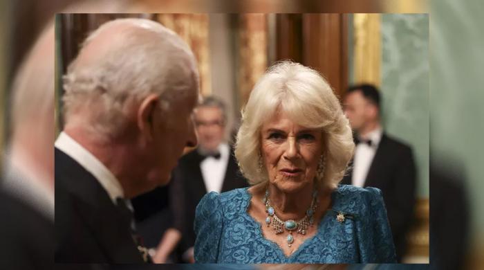 King Charles, Queen Camilla never met Jeffrey Epstein’s survivors: Here’s why