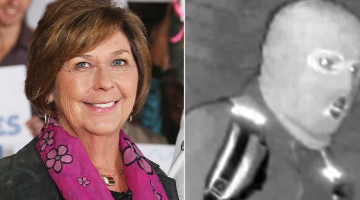 Nancy Guthrie update: Ex-FBI agent spots hidden clues in chilling video