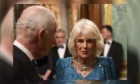 King Charles, Queen Camilla never met Jeffrey Epstein’s survivors: Here’s why