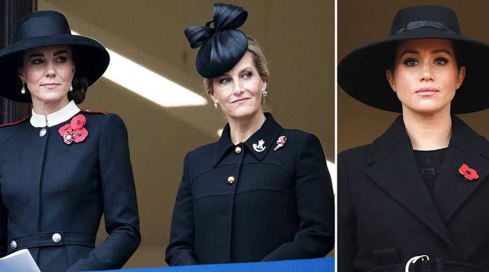 King Charles picks Duchess Sophie for secret mission related to Kate Middleton, Meghan Markle