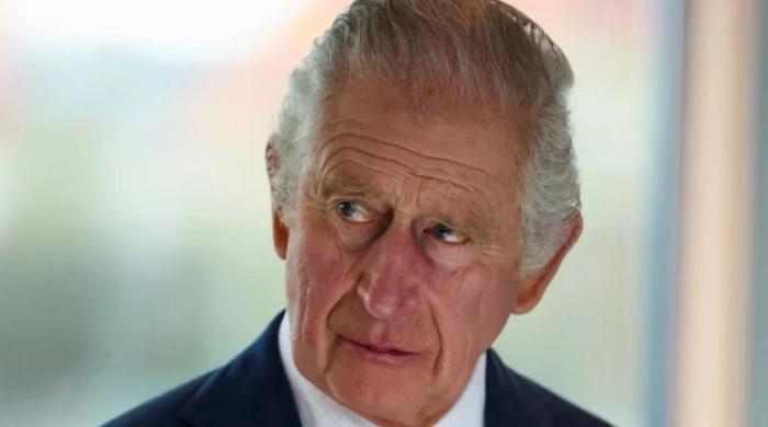 King Charles celebrates Britain's finest at Windsor Castle ceremony