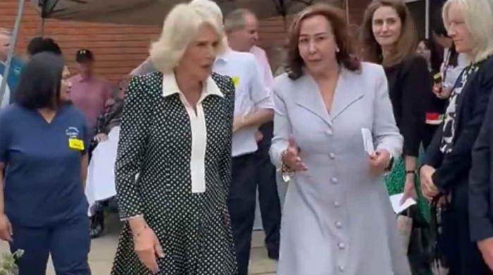 Queen Camilla undertakes royal engagement in London 