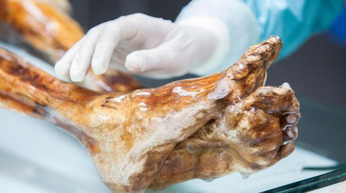 Scientists bake sourdough bread using yeast from a 5,000-year-old mummy 